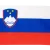 Transportunternehmen, Fuhrunternehmen in Slowenien
