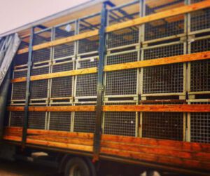 Gitterboxen per Jumbo Hängerzug - Speditionsagentur.de