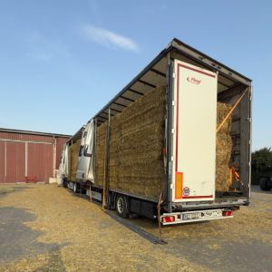 Schönwalde-Glien nach Wiesbaden - amerikanischer Schulbus