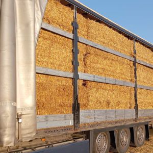 Schönwalde-Glien nach Wiesbaden - amerikanischer Schulbus