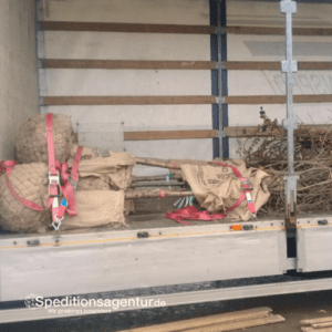 Meckenheim - Münster - Bäume