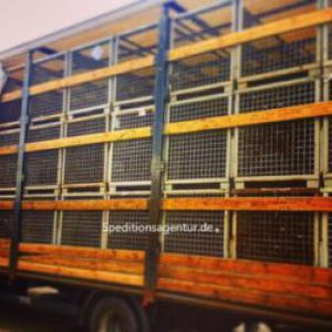 Schönwalde-Glien nach Wiesbaden - amerikanischer Schulbus