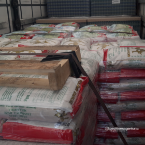 Transport Reis Seevetal - Markgröningen