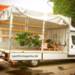 Transport eines Bäumchens per Expresskurier von Lehrte nach Bielefeld