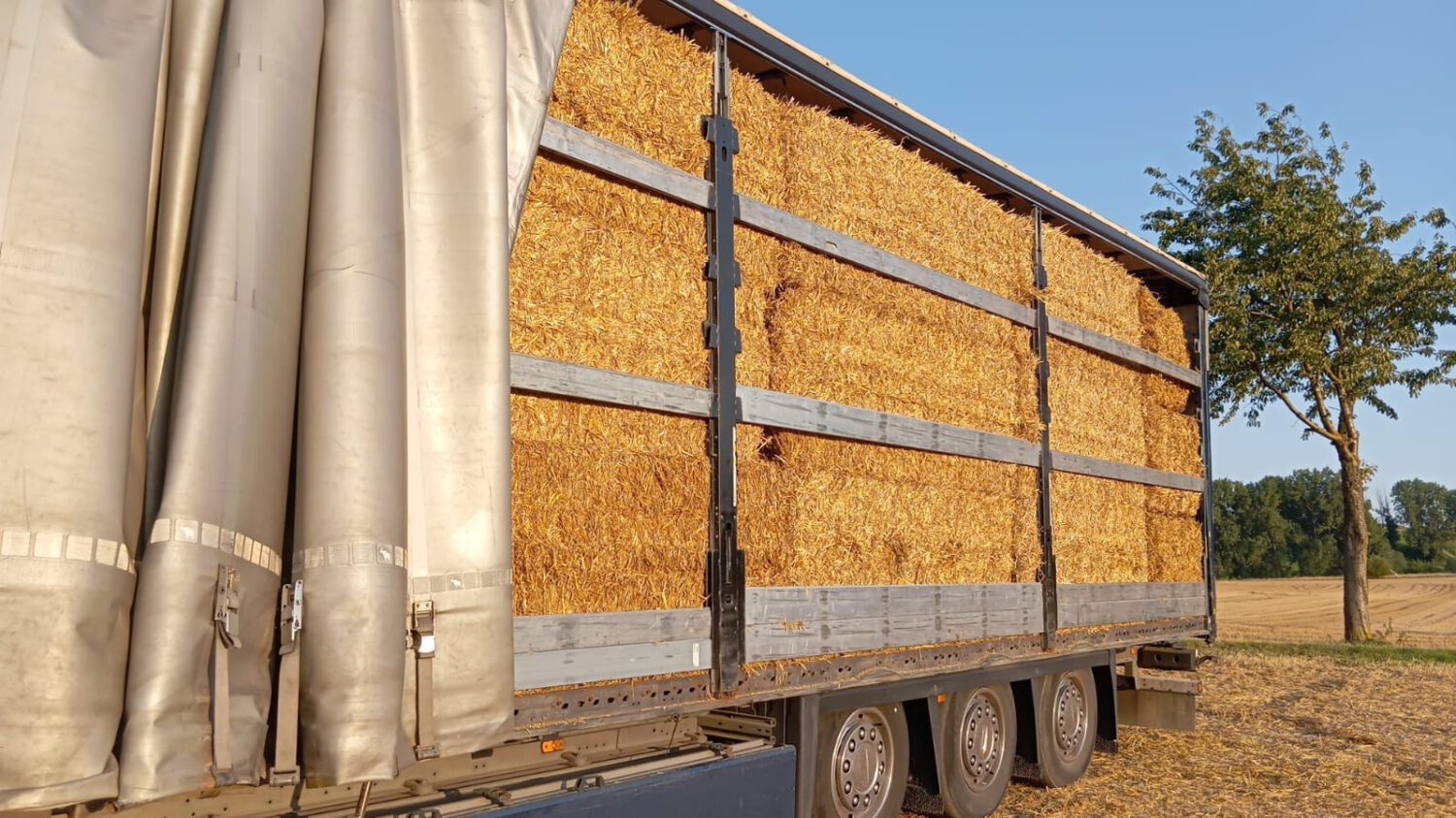 Heu- und Strohballen auf einem LKW transportiert