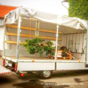 Express Transporte