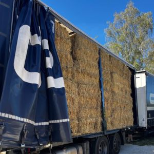 Schönwalde-Glien nach Wiesbaden - amerikanischer Schulbus