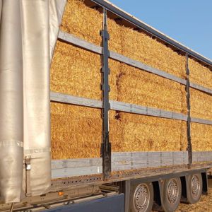 Schönwalde-Glien nach Wiesbaden - amerikanischer Schulbus